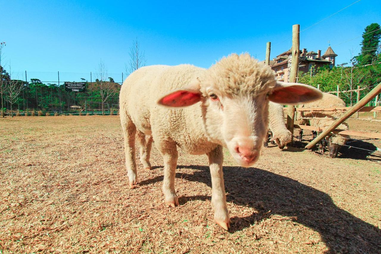 Aconchego Veu Da Noiva Alojamento Campos do Jordão